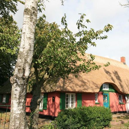 Unterm Rohrdach Leilighet Wustrow  Eksteriør bilde
