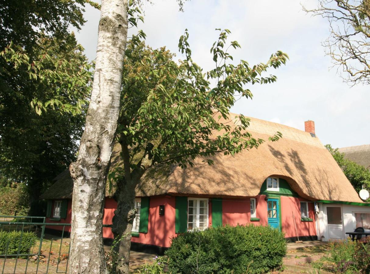 Unterm Rohrdach Leilighet Wustrow  Eksteriør bilde